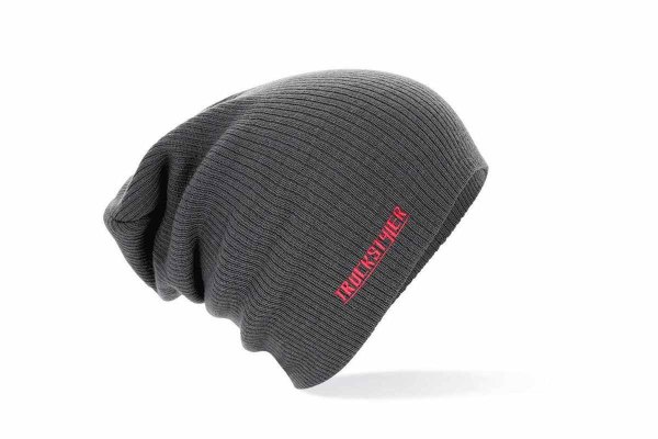 Beanie with TS - embroidered logo, ONE SIZE grey