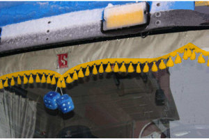 Parafanghi laterali del parabrezza per autocarro con logo e bobble inclusi beige oro con TS Logo