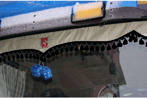 Parafanghi laterali del parabrezza per autocarro con logo e bobble inclusi beige nero con TS Logo