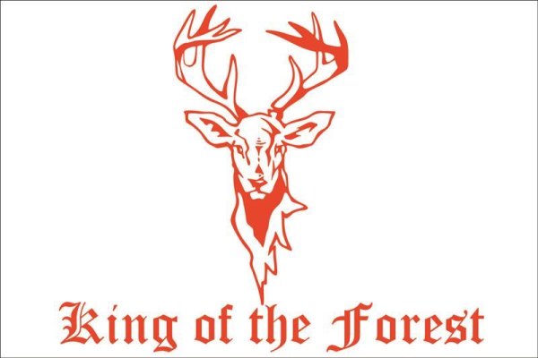 Aufkleber "King of the Forest" für Frontscheibe 40*30cm normal geschnitten rot