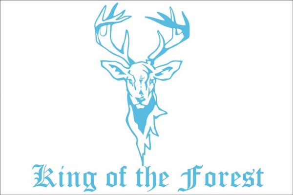 King of the Forest sticker voor voorruit 40*30cm normale snit lichtblauw