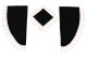 Lkw Gardinenset 11 teilig, inkl Borde schwarz beige Länge Gardinen 90 cm, Bettvorhang 175 cm TS Logo
