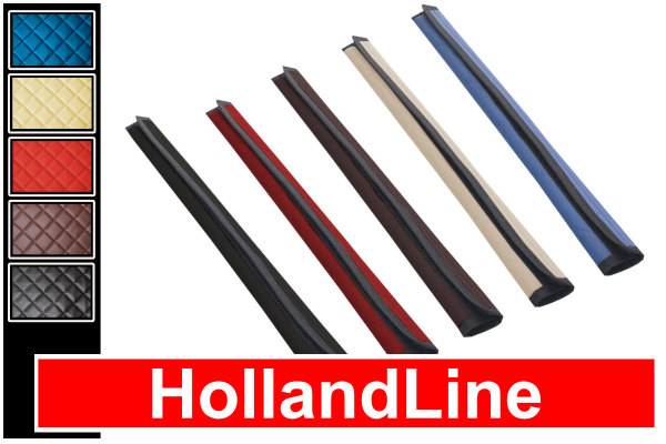 Adatto per DAF*: XF105 / XF106 (2012-...) HollandLine, rivestimento maniglia dingresso, similpelle