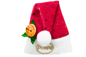 Cappello a forma di berretto - per il deodorante per ambienti Poppy e l'anatra in gomma, Duck Santa Claus, Natale