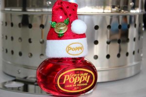 Beanie muts - voor je Poppy luchtverfrisser en Rubber Duck, Eend Kerstman, Kerstmis