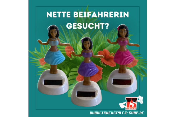 Lustige Wackelfiguren (4 Stück) in Nordrhein-Westfalen - Zülpich, Weitere  Spielzeug günstig kaufen, gebraucht oder neu