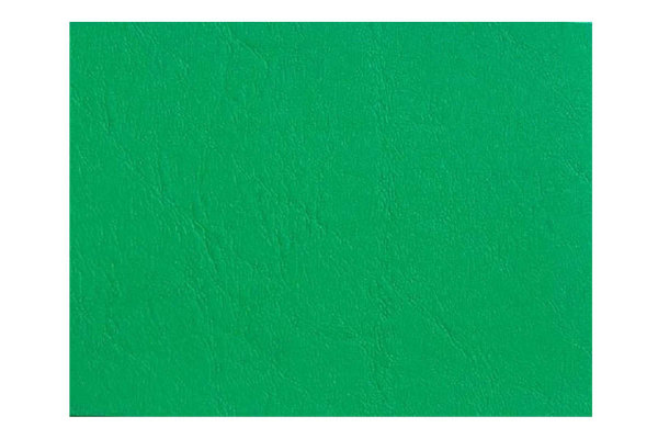 leatherette, kaska light green