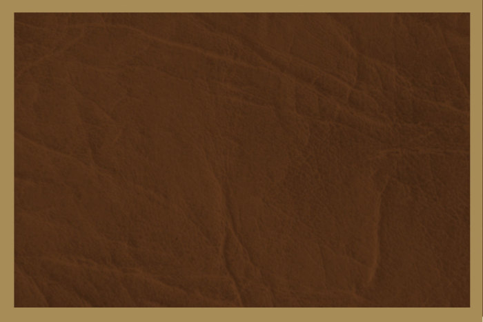 Kleur Grizzly